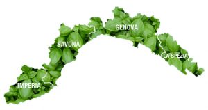 province- fonte basilicogenovese.it