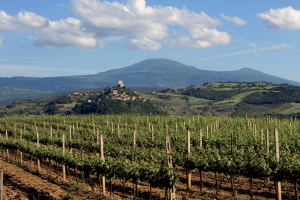 FS_Orcia-DOP