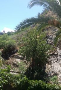 maletto sperone di roccia del castello