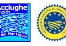 Acciughe sotto sale del Mar Ligure IGP: la certificazione della Camera di Commercio per un prodotto d’eccellenza